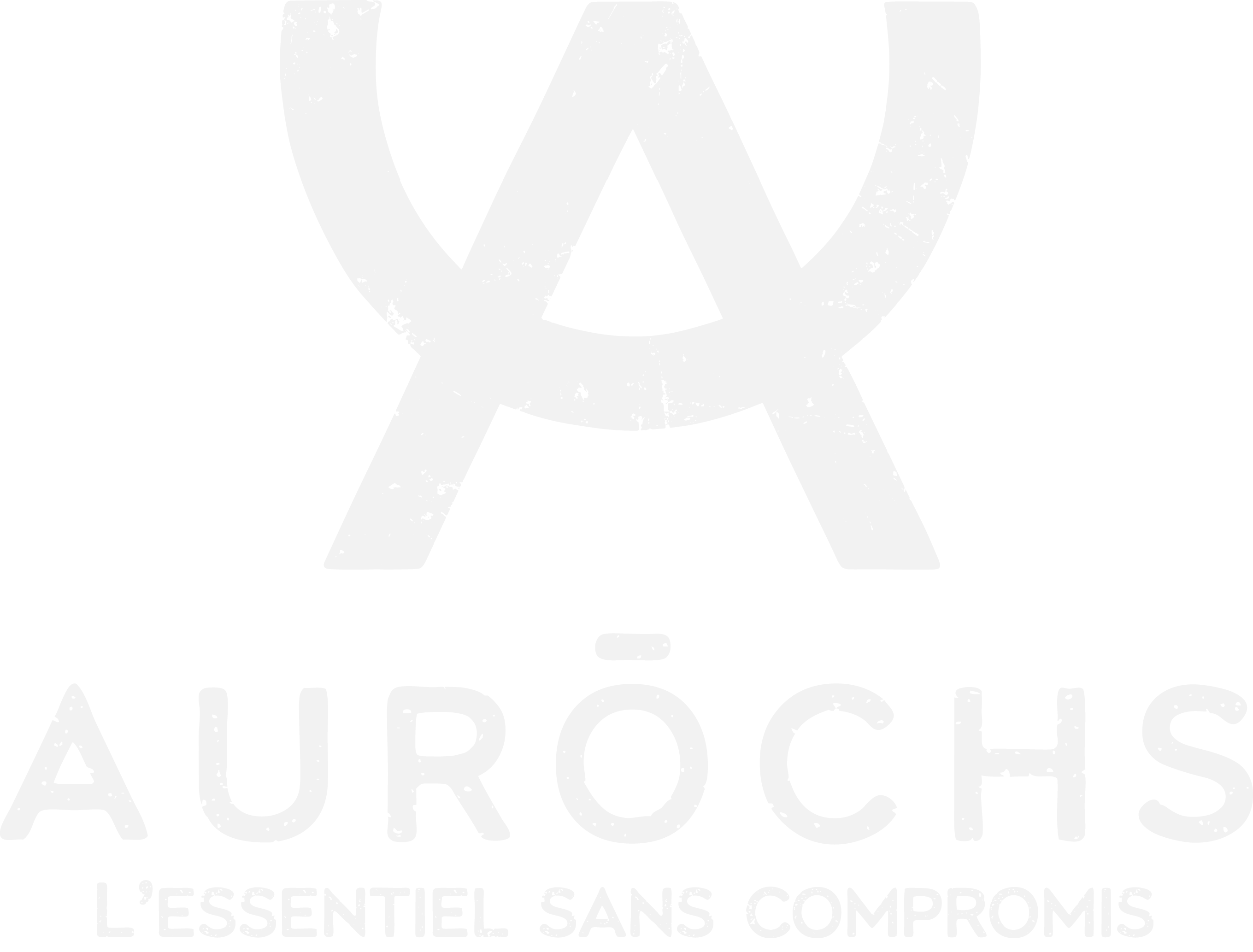 Aurōchs — L'essentiel sans compromis